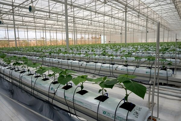 1628558880539818.png 1628558880539818.png