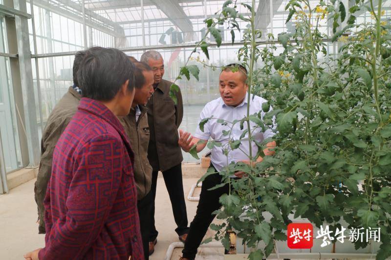 1631265360564319.jpg 1631265360564319.jpg