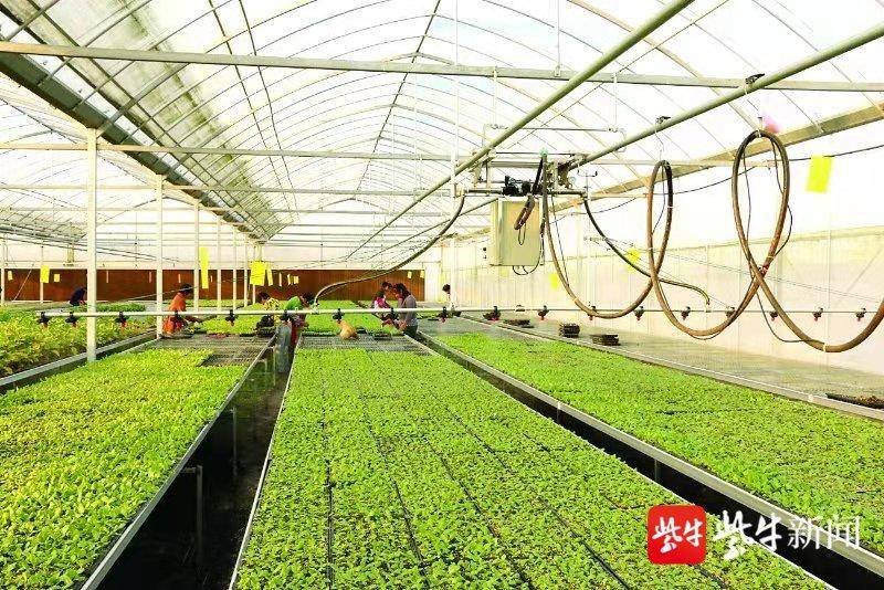 1631265423958033.jpg 1631265423958033.jpg