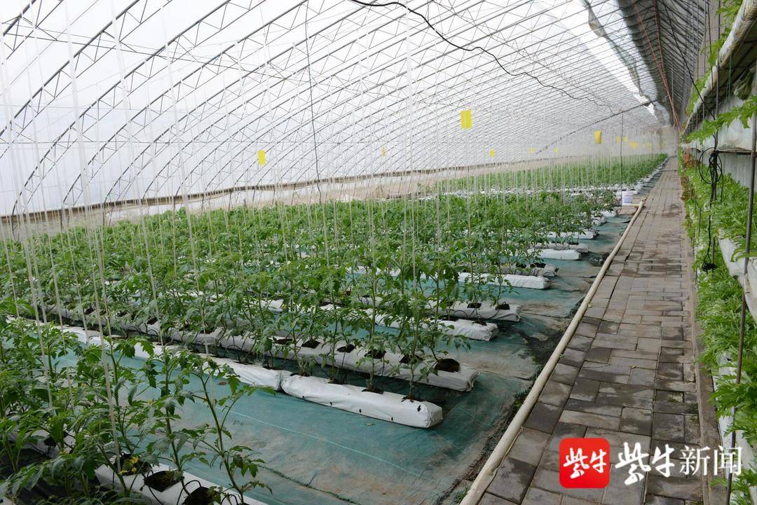 1631265456204682.jpg 1631265456204682.jpg